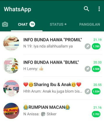 GROUP WHATSAPP PROMIL, BUMIL & BUSUI