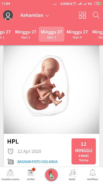 seputar kehamilan