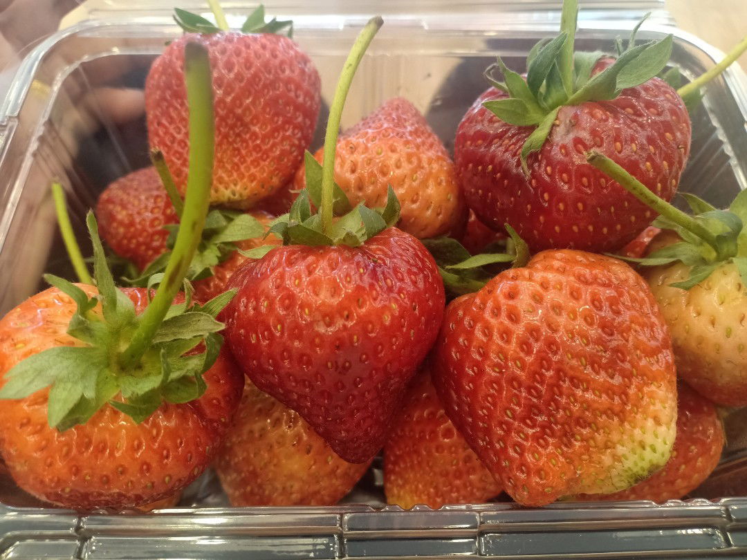 ชีวิตต้องสู้ profile icon