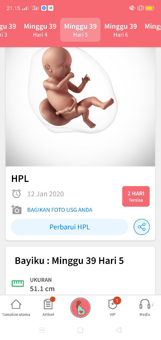 kehamilan