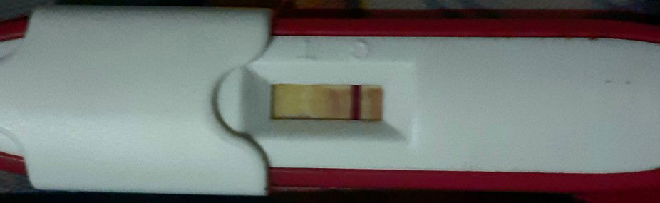 คุณแม่บ้านไหนบ้างค่ะปล่อยครั้งแรกก้อติดเลย...