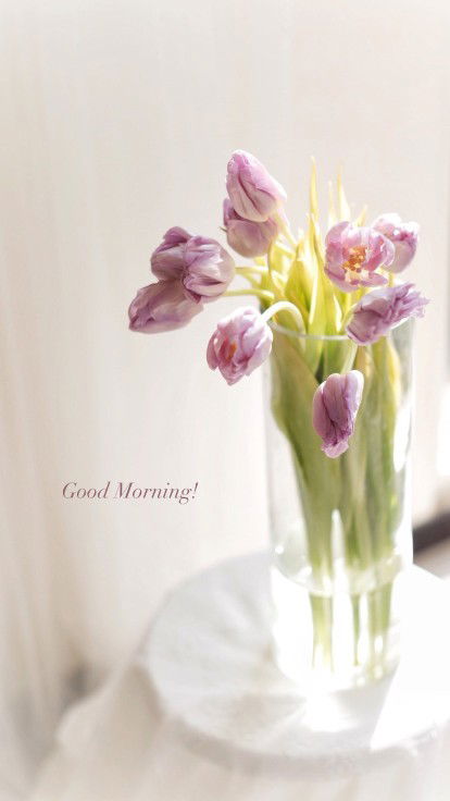 seorang isteri profile icon