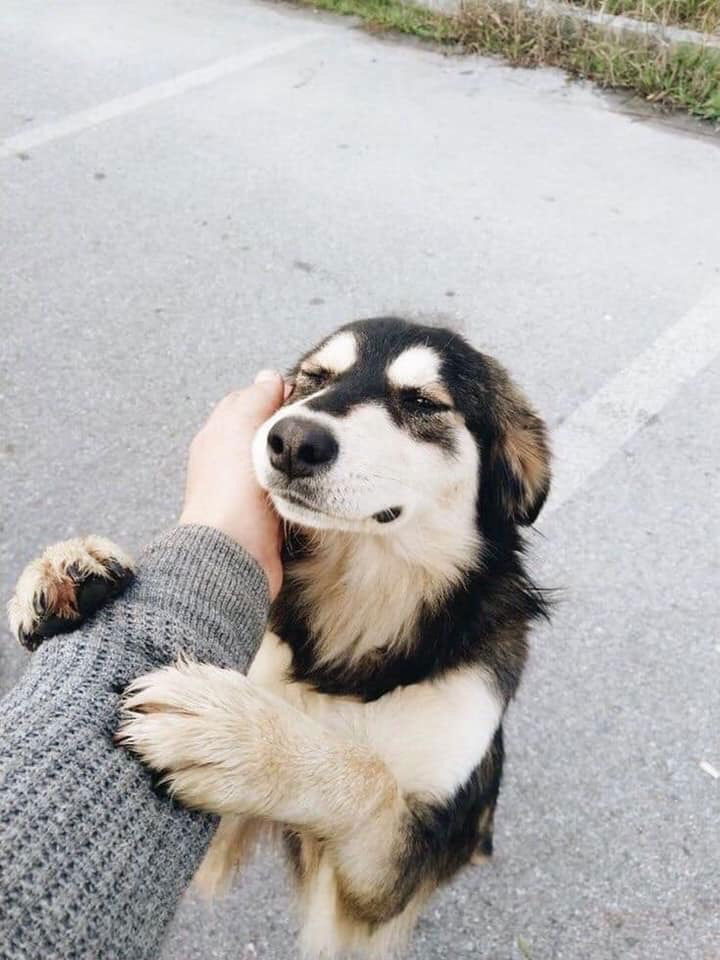 ซาราง profile icon