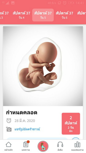 คลอดลูก