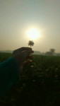 Risalatul muawanah profile icon