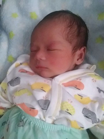 Alhamdulillah sudah launching🤗