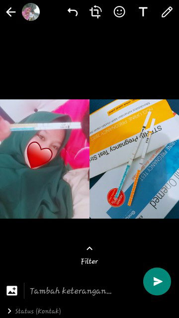 Syarifah Nur profile icon