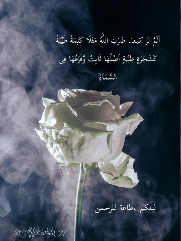 Afifah Fadlyllah profile icon