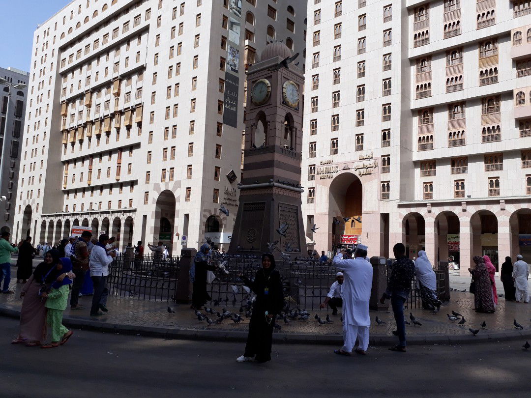 Cici Mahmuda profile icon