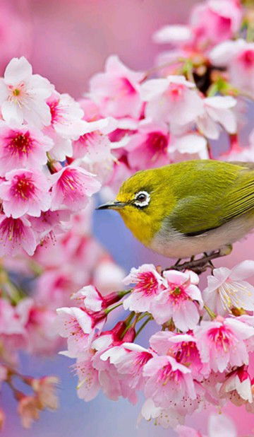 ika nur komariyah profile icon