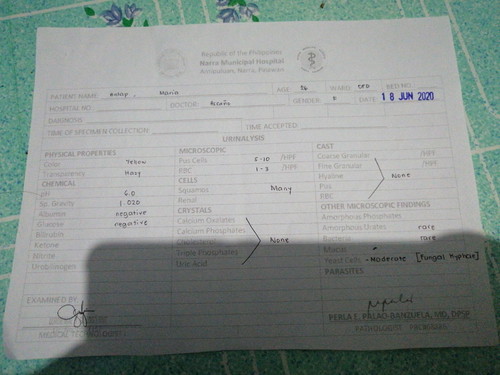 Urinalysis Result