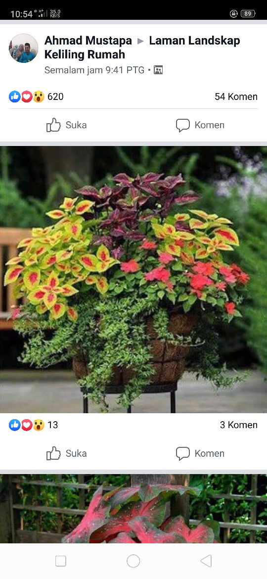 CILLIANA BTE LOMBOTING profile icon