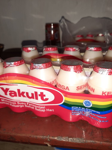 minuman yakult