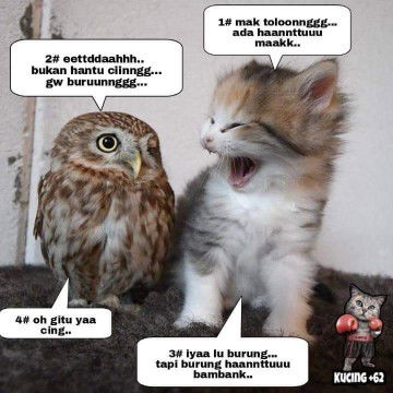 lahiran di Rs atau Bidan?