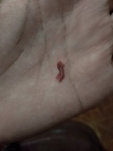 ประจำเดือน