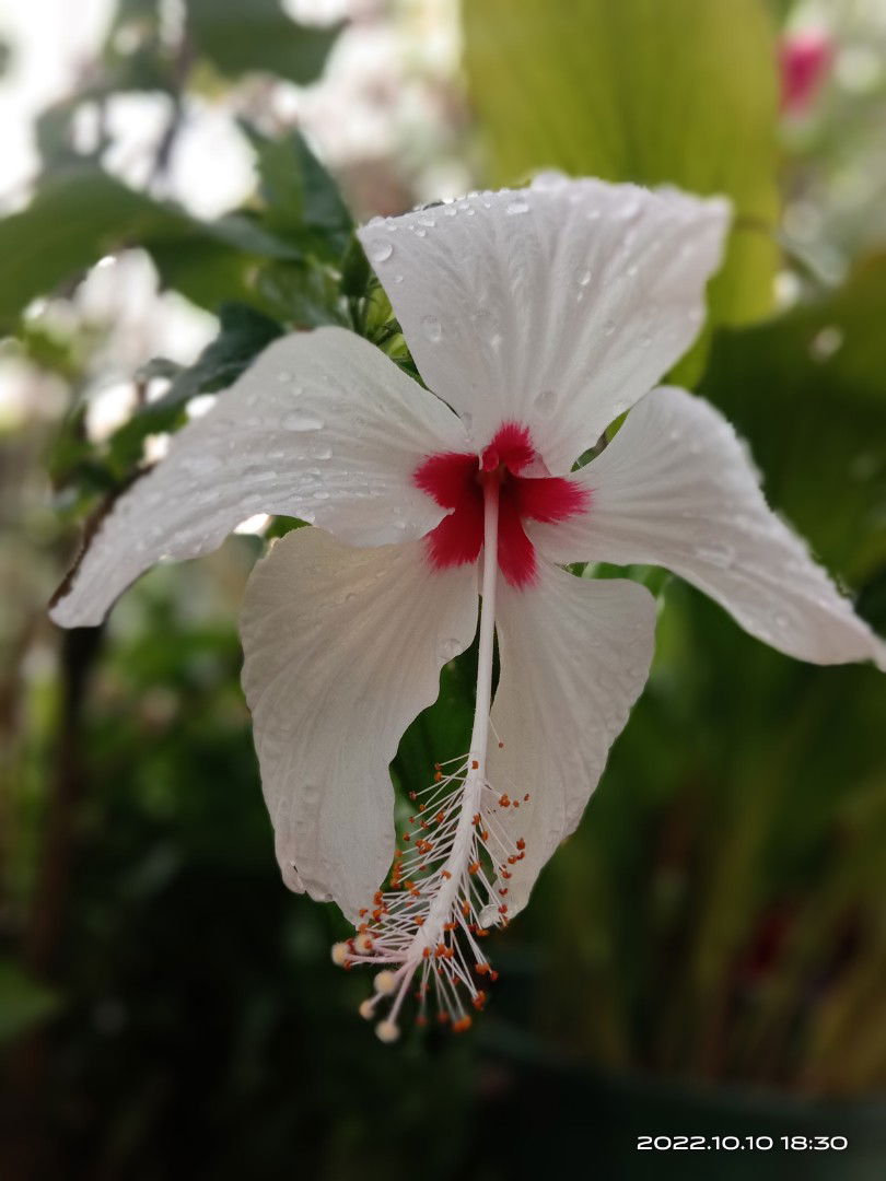 Nyca Byy profile icon