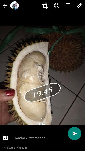 Durian
