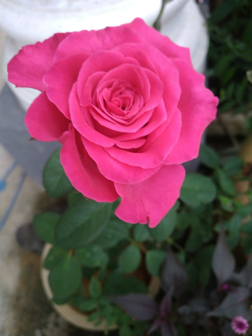 Nor Idayu Safina profile icon