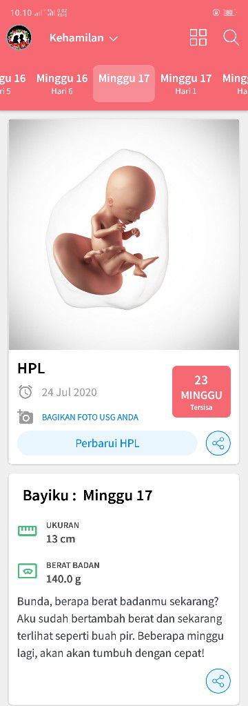Kapan biasanya bayi mulai bergerak ?