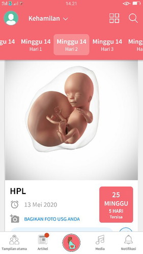 hamil 14week