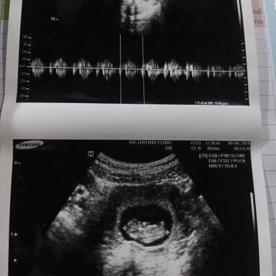 Panida Phosuwan profile icon