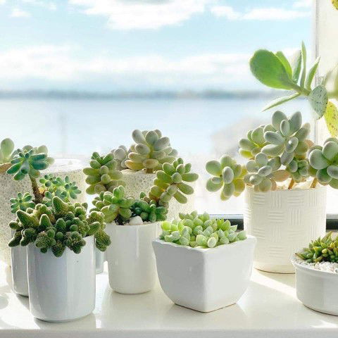 Juhainah porimin profile icon