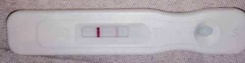 Pregnancy Test