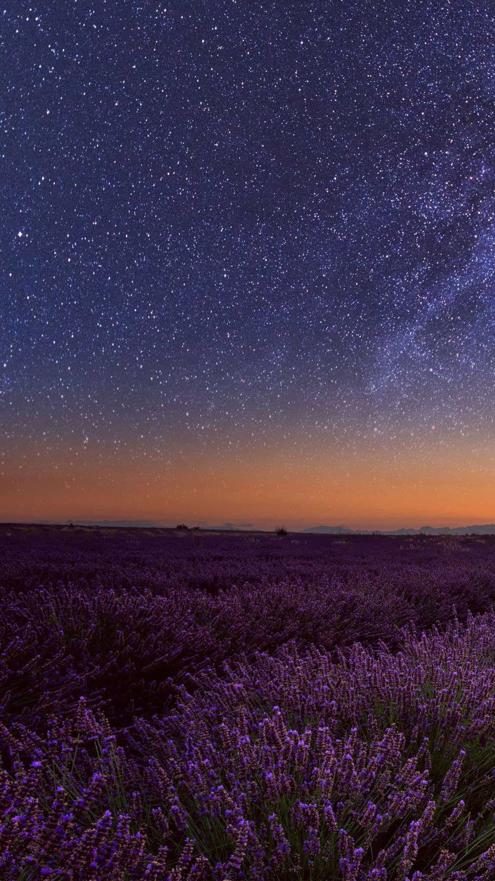 Shaira Timbang profile icon