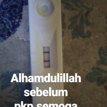 happy blm pkp rest...