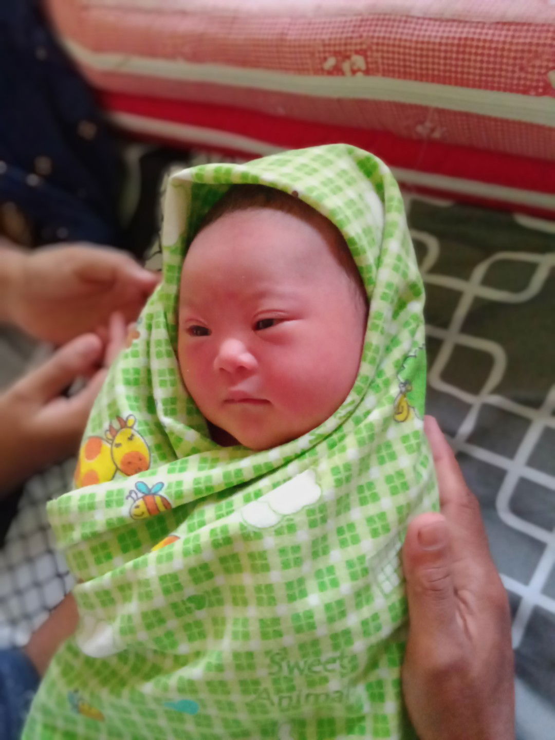 HPL 11mei launching 03mei