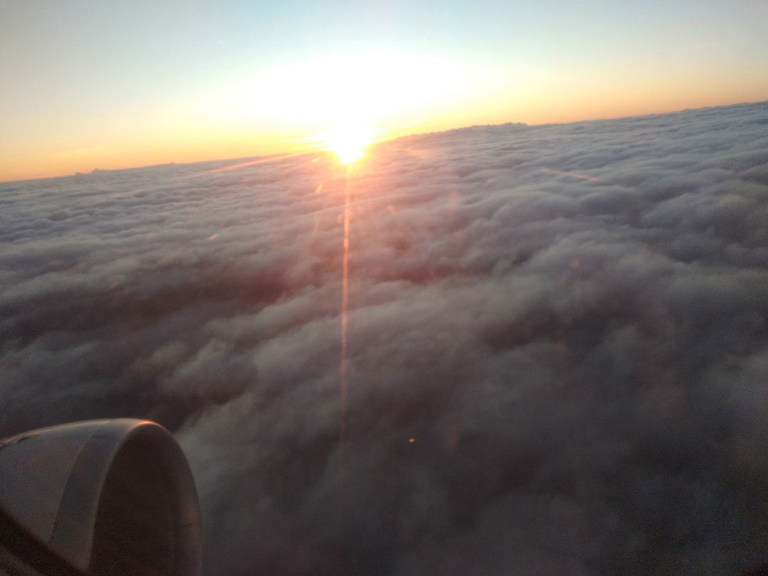 osey Valeroa Antaraste profile icon