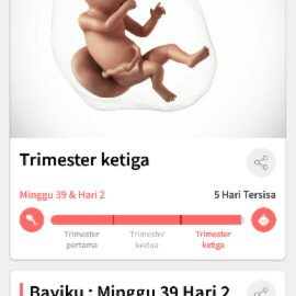 Hpl 22maret