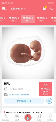 seputar kehamilan