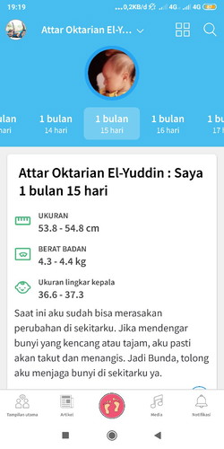 Tampilan theasianparent