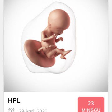 mohon di jawab ya bun