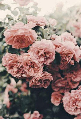 Zyhries Anthoinette Villafranca profile icon