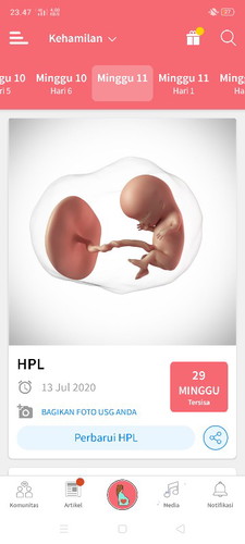 11weeks