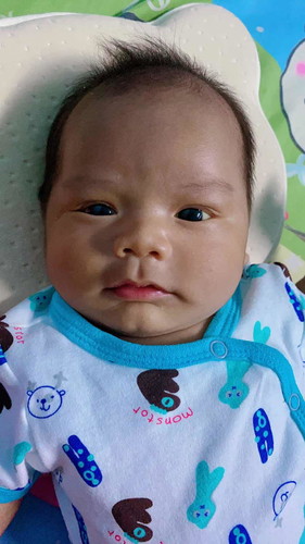 ลูกหมูน้อยของแม่