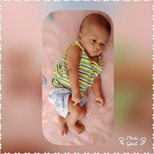 หมาน้อยงอล