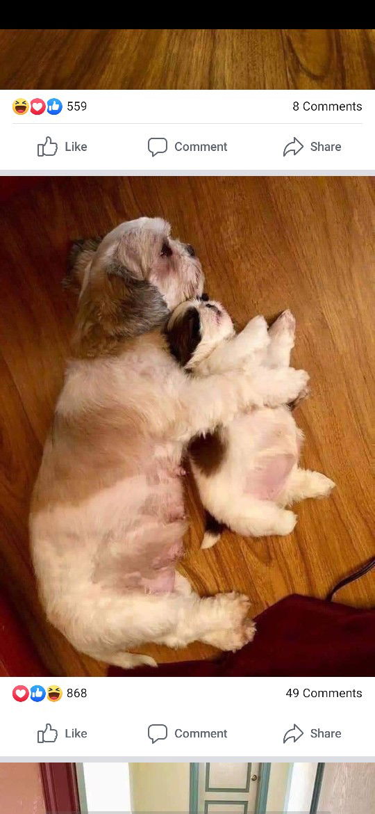 Chrislyn Nombre profile icon