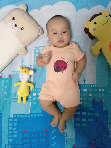 หมูน้อยของแม่