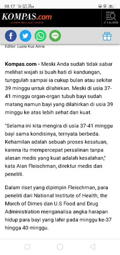 nemu artikel gini