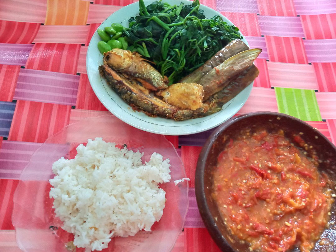 Penambah Nafsu makan