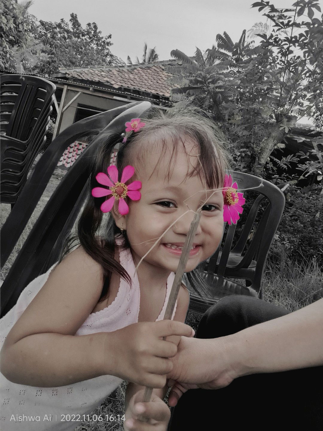 laduni wp profile icon