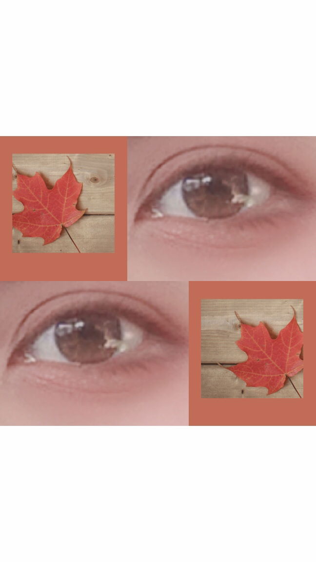 Priranya Aemchomnak profile icon