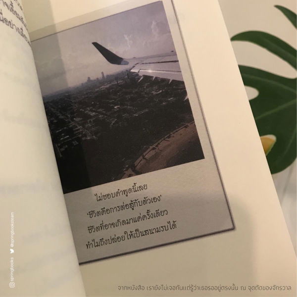 Nice NN profile icon