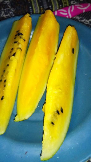 Siti Nurmala profile icon