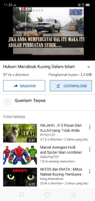 suami nabrak kucing ?