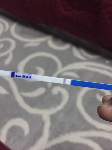 bantu saya