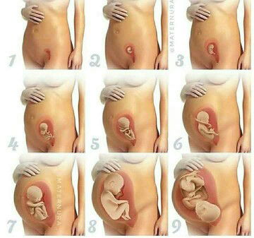 anonymous profile icon